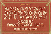 The Antique - A New Classic Serif, a Serif Font by Almarkhatype (Thumbnail 9 of 10)