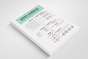 Simple Professional Word Resume