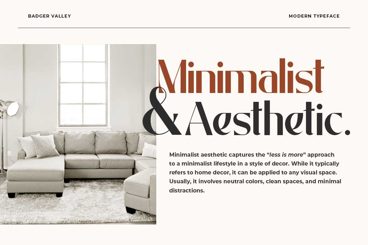 Badger Valley Modern Sans Serif, a Sans Serif Font by Heinzel Std (Photo 6 of 13)