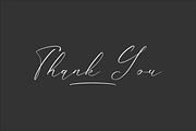 Gladista Arabela Beauty Calligraphy, a Script Font by Storytype Studio (Thumbnail 15 of 15)