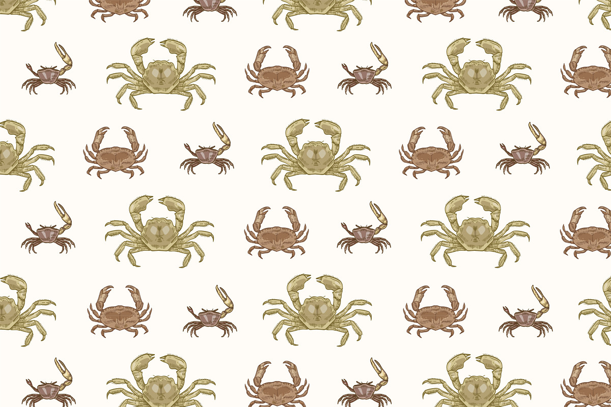 Crabs set + seamless patterns, an Animal Illustration by Good Studio (Photo 8 of 14)