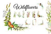 Wildflowers, a Decorative Illustration by Daria Ustiugova (Thumbnail 1 of 14)