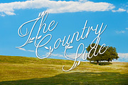 THE COUNTRY SIDE - Small Pack, a Nature Photo by KABSPHOTOGRAPHY (Thumbnail 1 of 2)