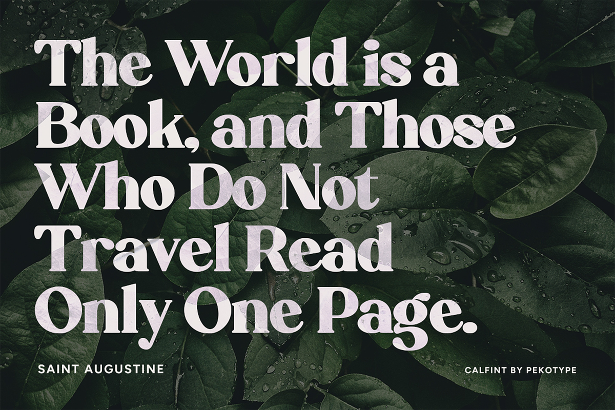 Calfint - Bold Serif Font, a Serif Font by Pekotype (Photo 10 of 13)