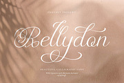 Rellydon Beautiful Calligraphy Font, a Script Font by Denustudios (Thumbnail 1 of 13)
