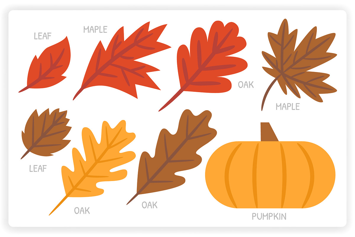36 Autumn Elements + 12 Patterns, a Graphic by monkik (Photo 5 of 12)