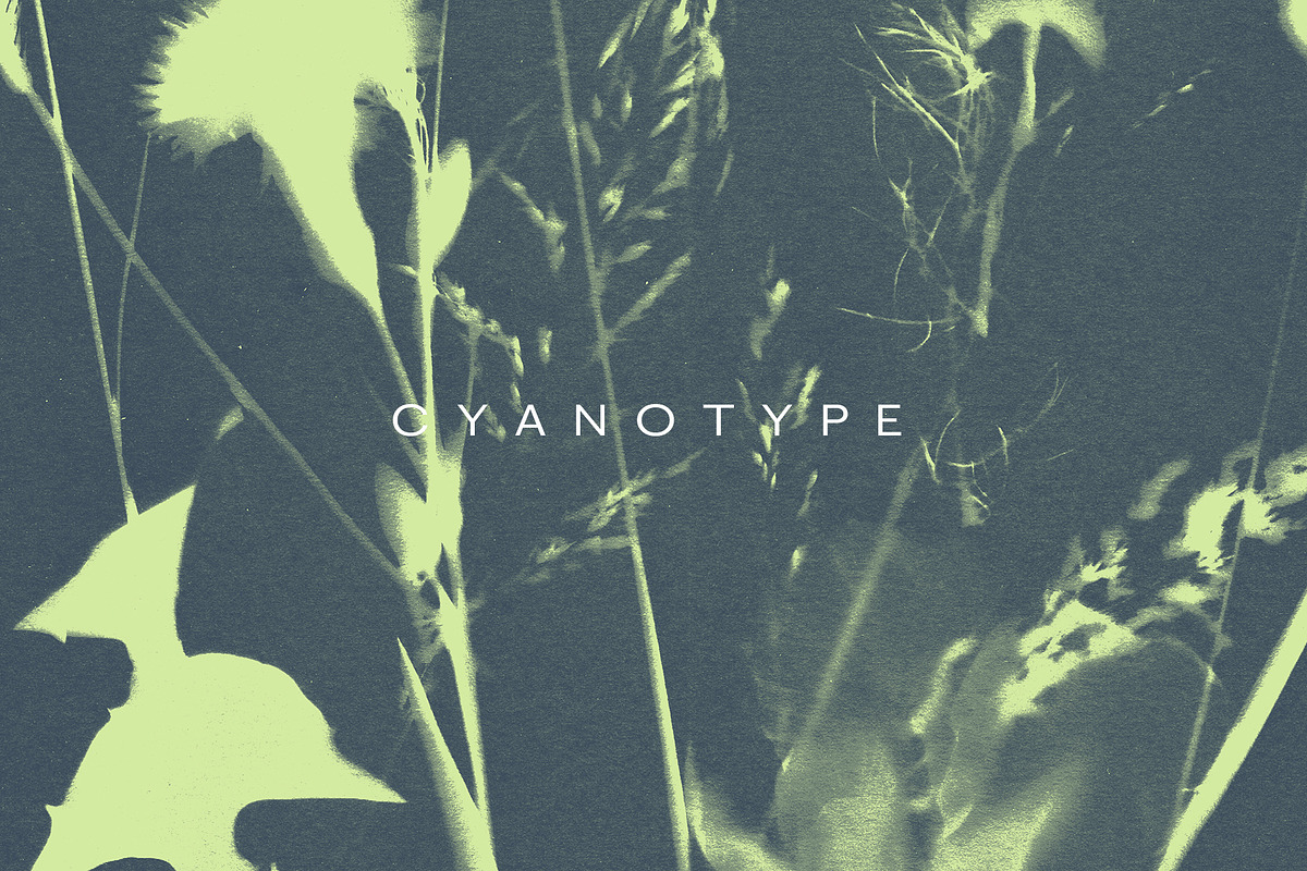 FLORAL Cyanotype, a Texture Graphic by nkate (Photo 9 of 10)