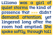 GC Kabuki - New Grotesque Sans, a Sans Serif Font by Glyphonic (Thumbnail 10 of 15)