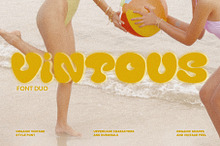 Vintage Retro Font Duo - Vintous
