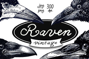 Raven vintage illustrations