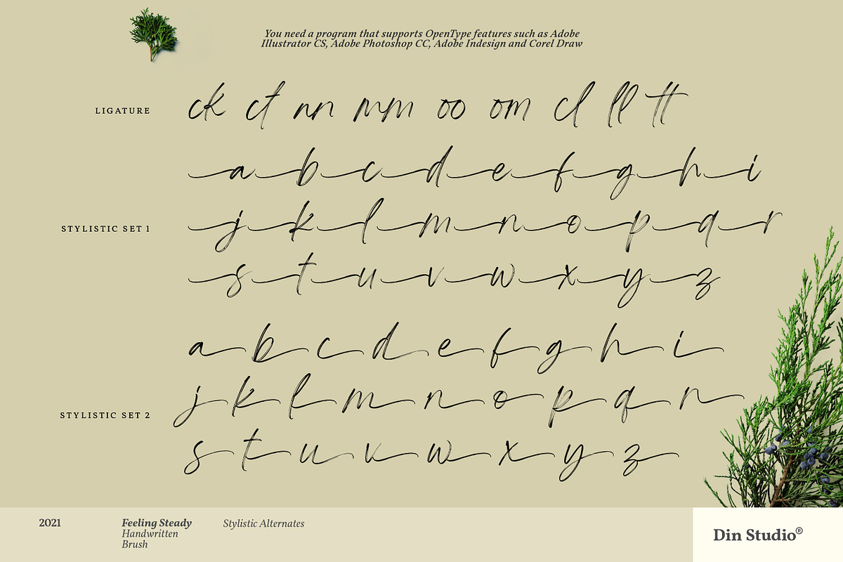 Feeling Steady, a Script Font by din-studio.com (Photo 7 of 10)