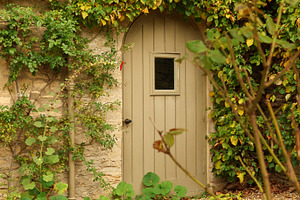 Arched wooden door on a stone wall, climbing ivy and green plants creating a hi, a Photo by Studio ANNA