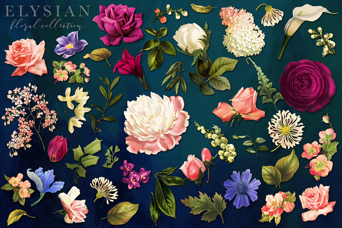 Elysian Floral Collection, an Illustration by Eclectic Anthology (Photo 6 of 15)