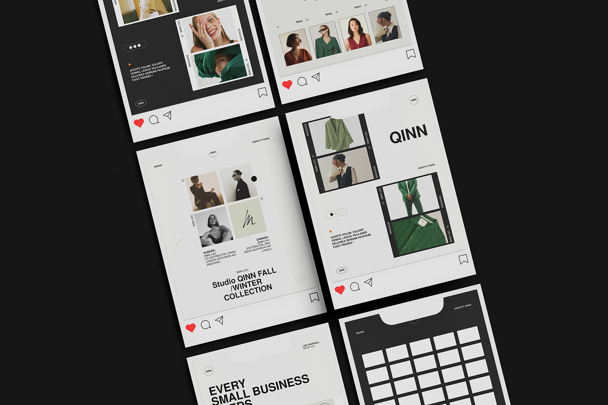 QINN / Social Media Kit, a Social Media Template by Studio Elevate (Photo 10 of 11)