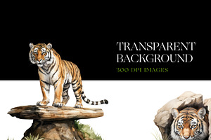 Watercolor Tiger Clipart, Tiger PNG