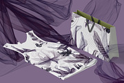 Floral Geometry, an Illustration by Salted Galaxy (Thumbnail 12 of 18)