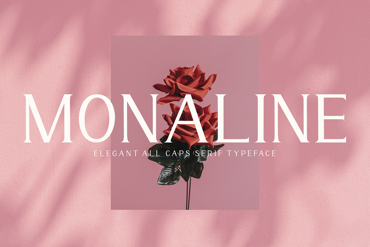 Monaline, a Serif Font by AEN Creative Studio (Photo 1 of 8)
