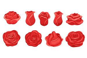 Red buds and petals of blooming, an Object Illustration by Vectorbuum