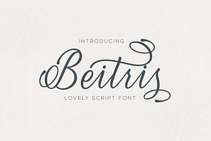 Beitris Script