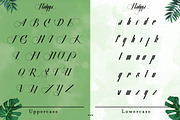 Nadyya - Traditional Display Font, a Symbol Font by Saxofont (Thumbnail 5 of 8)