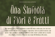 CS Borden – Elegant Font, a Sans Serif Font by Craft Supply Co. (Thumbnail 4 of 8)