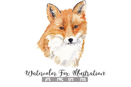 Watercolor Fox Illustration