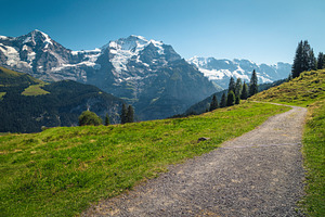 Hiking trail on the slope, a Nature Photo by Alpine Dreams