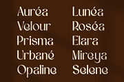 Effyra - Classy Stylish Font, a Serif Font by Randi Irvan | Rvandtype (Thumbnail 3 of 12)