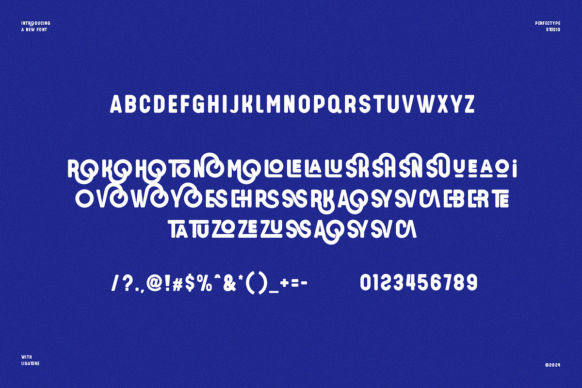 Tirqski Modern Ligature Sans Serif, a Sans Serif Font by Perfectype (Photo 6 of 6)