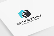 DNA Spiral Structure Logo Design, a Branding & Logo Template by pne-design (Thumbnail 1 of 2)