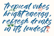 Tropics Sometimes Beaches, a Script Font by stylishtype.co (Thumbnail 10 of 15)
