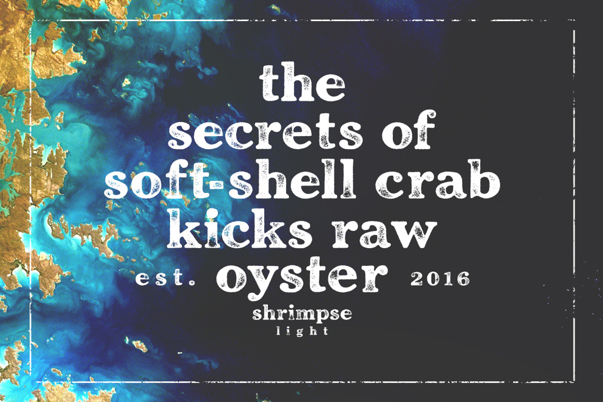 Shrimpse preview 3