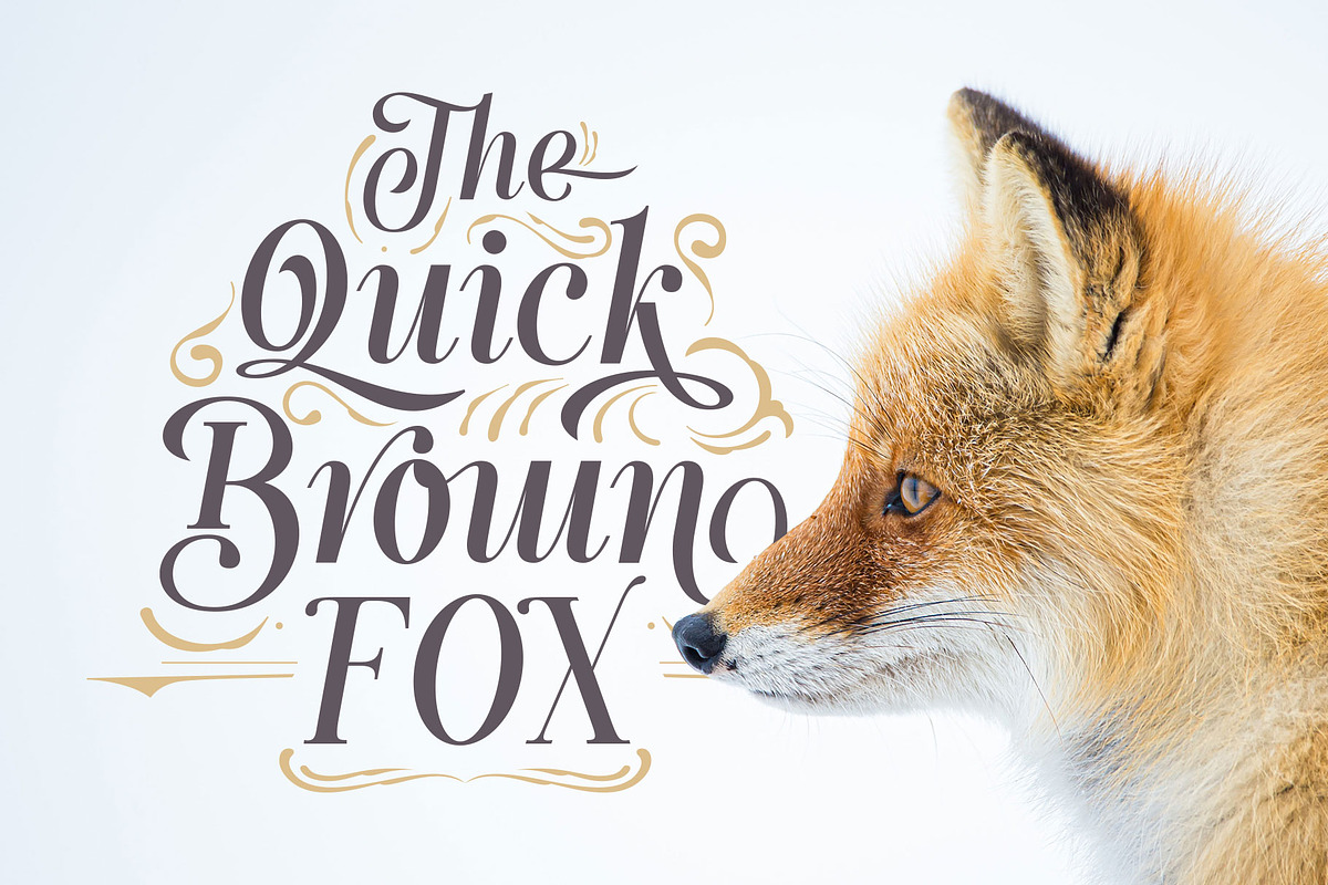 Handy Quomte, a Script Font by alit design (Photo 11 of 18)
