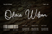 Dillematica Signature Font, a Handwritten Font by Basnistudio (Thumbnail 5 of 10)
