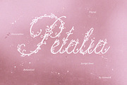 Petalia Decorative Floral Font, a Script Font by AnMark (Thumbnail 11 of 11)