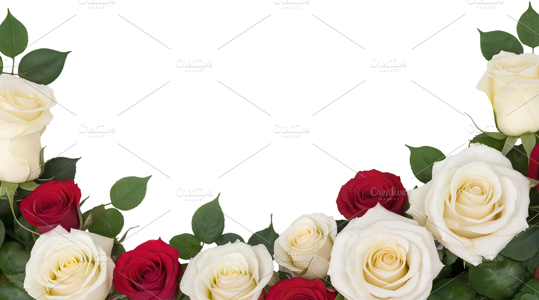rose flowers transparent background, a Nature Photo by itakdalee