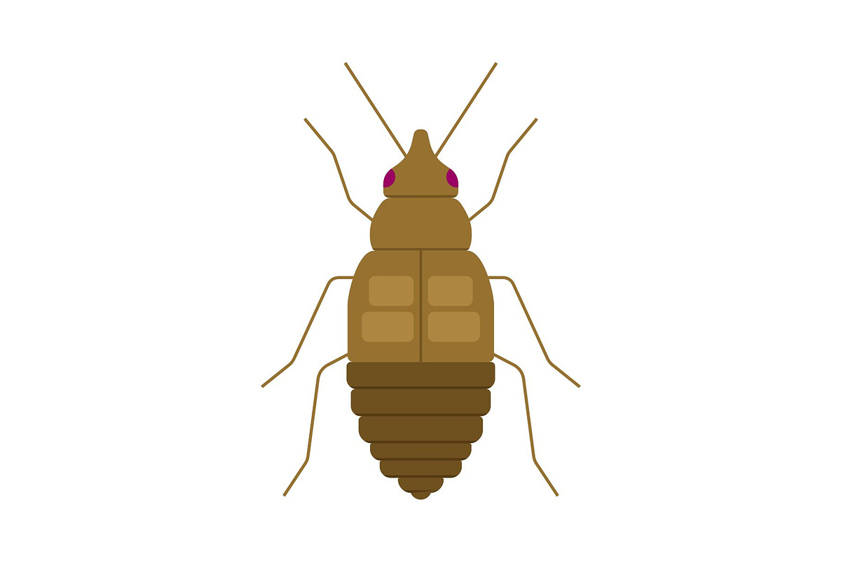 Brown Bed Bug Insect, a Solid Icon by Buqancreative (Photo 1 of 2)