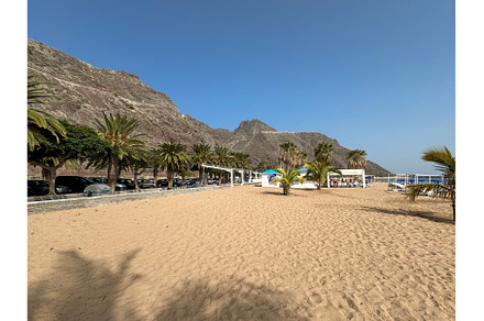 Scenic Beach with Palm Trees and, a Nature Photo by tilialucida