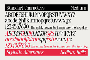 Enigmatica - Serif Font Family