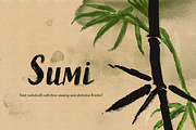 50 Sumi Brush Pack-Photoshop Brushes, a Brush Add-On by Photohacklovers (Thumbnail 9 of 11)