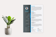 Resume Template / EPS,AI, a Resume Template by Annudesign (Thumbnail 3 of 7)