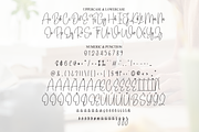 Berlina Signature | Script Font, a Handwritten Font by Scratchones (Thumbnail 7 of 8)