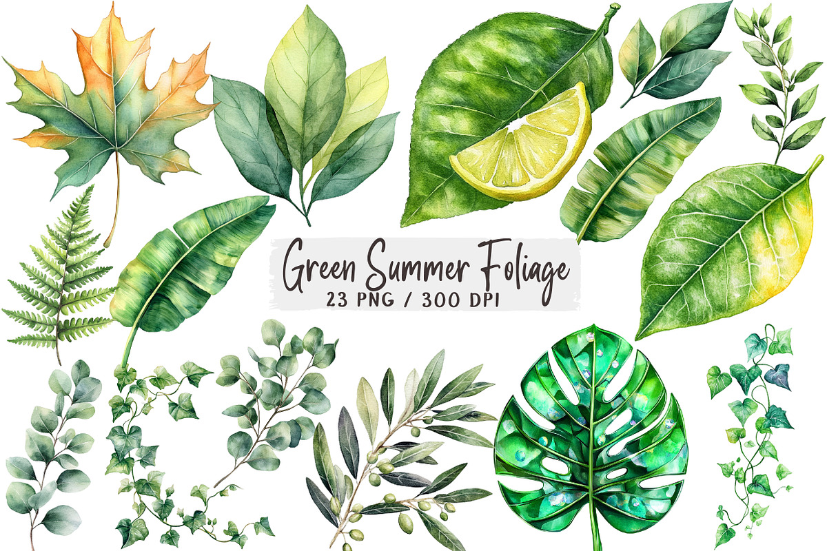 Green Summer Foliage Clipart, an Illustration by DreamArtGraphic (Photo 1 of 4)