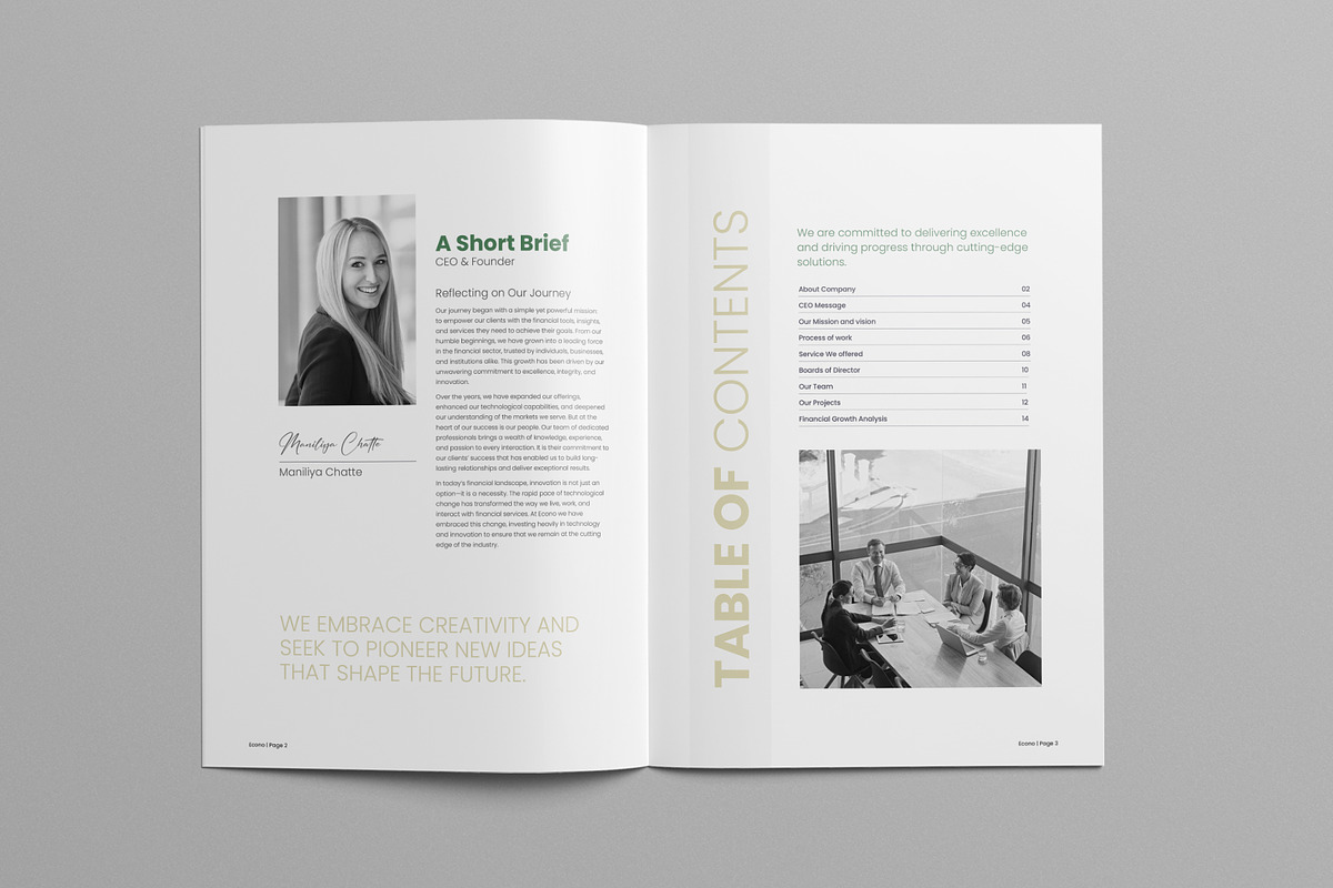 Company Profile | Canva & InDesign preview 2