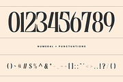 Astella Luxury - Branding Logo Font, a Serif Font by Nirmana Visual (Thumbnail 6 of 16)