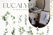 Eucalyptus watercolor leaves clipart, a Decorative Illustration by Yuliya Derbisheva (Thumbnail 7 of 15)