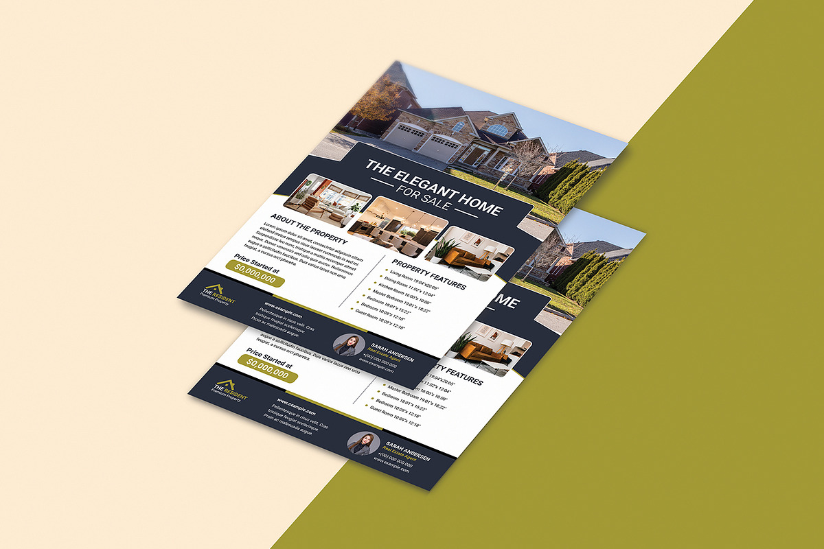 Real Estate Flyer Template, a Flyer Template by retrographix (Photo 3 of 4)