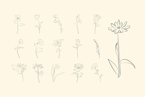 Flower Line Art Illustration