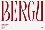 Bergu – Editorial Display Serif, a Serif Font by Sohel Studio (Thumbnail 1 of 10)