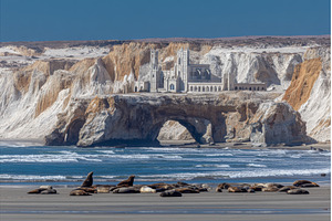 A family of sea lions is located on, an Animal Photo by ZinetroN